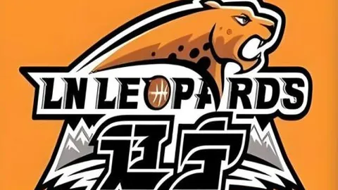 贝蒂斯中场球员安东尼为球队注入活力